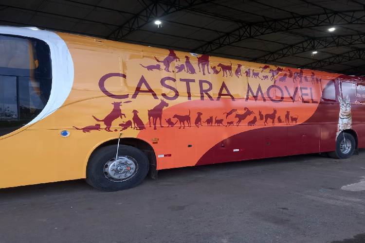 População caçapavense recebe serviço de castração gratuita para pets em atendimento móvel