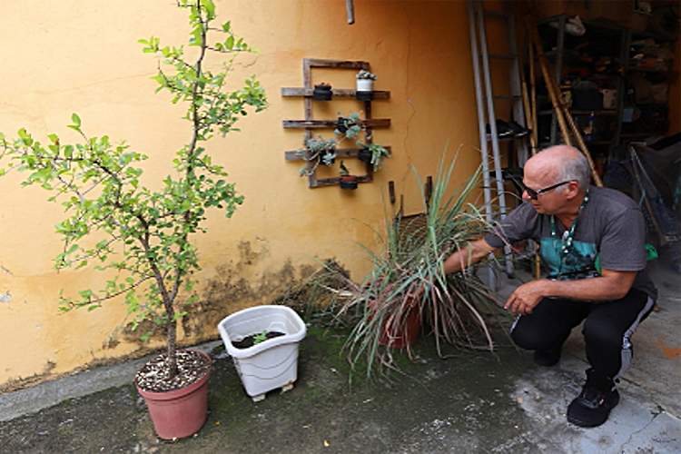Jacareí declara estado de Emergência e Alerta Epidemiológico
