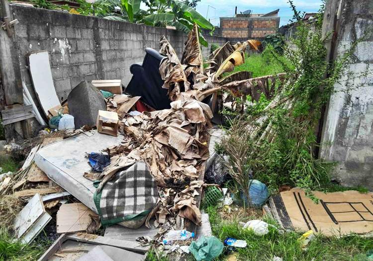 Pindamonhangaba notifica quase 17 mil proprietários por falta de limpeza em terrenos particulares