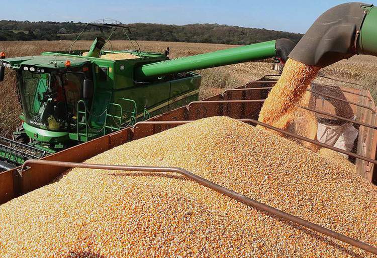 Conab estima safra recorde de 317,6 milhões de toneladas de grãos em 2023