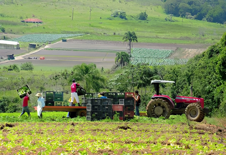 Agronegócio paulista tem superávit de R$ 10 bi no primeiro semestre
