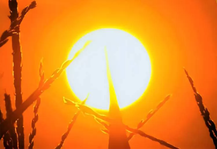 Temperatura volta a subir no Sudeste e grande parte do Brasil ao longo da semana