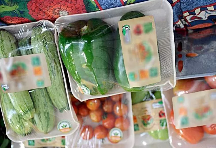 Tomate e cenoura com menor preço mantém queda da cesta básica vendida nas cidades no Vale do Paraíba 