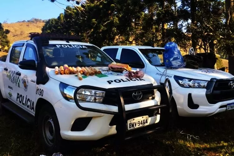 Homem é preso por crime ambiental no interior do parque Estadual da Serra do Mar