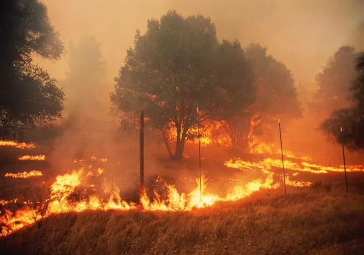 Vale do Paraíba apresenta registro de 163 focos ativos de incêndio entre janeiro e setembro