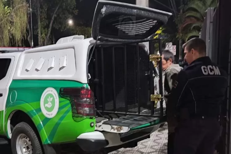 GCM Pinda prende homem em flagrante de furto no mercado municipal