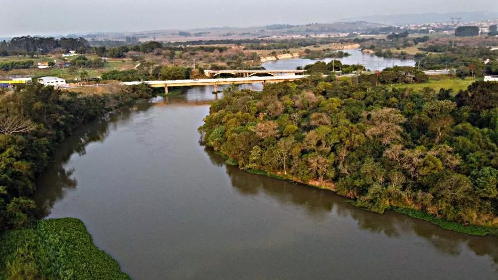Agência governamental é acionada por instituições após morte de peixes no rio Paraíba do Sul