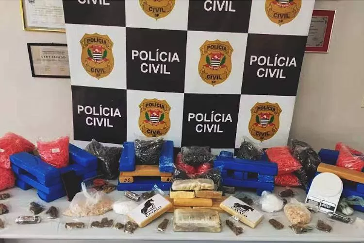 Polícia Civil apreende cerca de 43 quilos de drogas em pousada na Serra da Mantiqueira