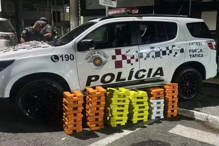 Polícia apreende 150 kg de maconha em propriedade na região do bairro do Barreiro
