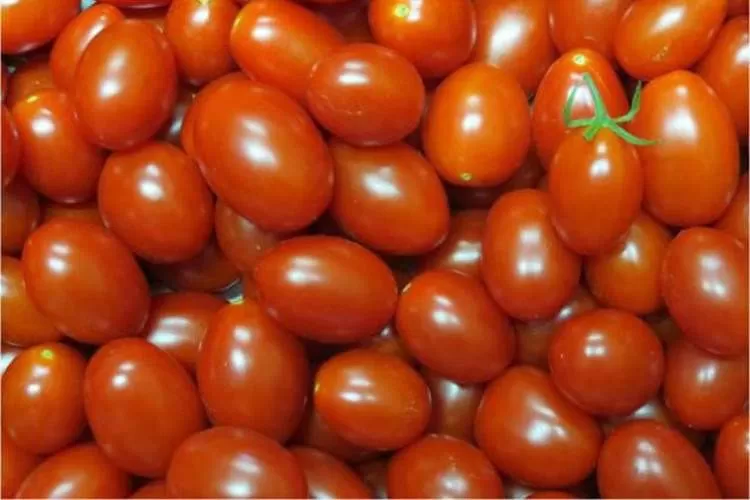 Março teve o tomate como principal vilão na alta de preços da cesta básica