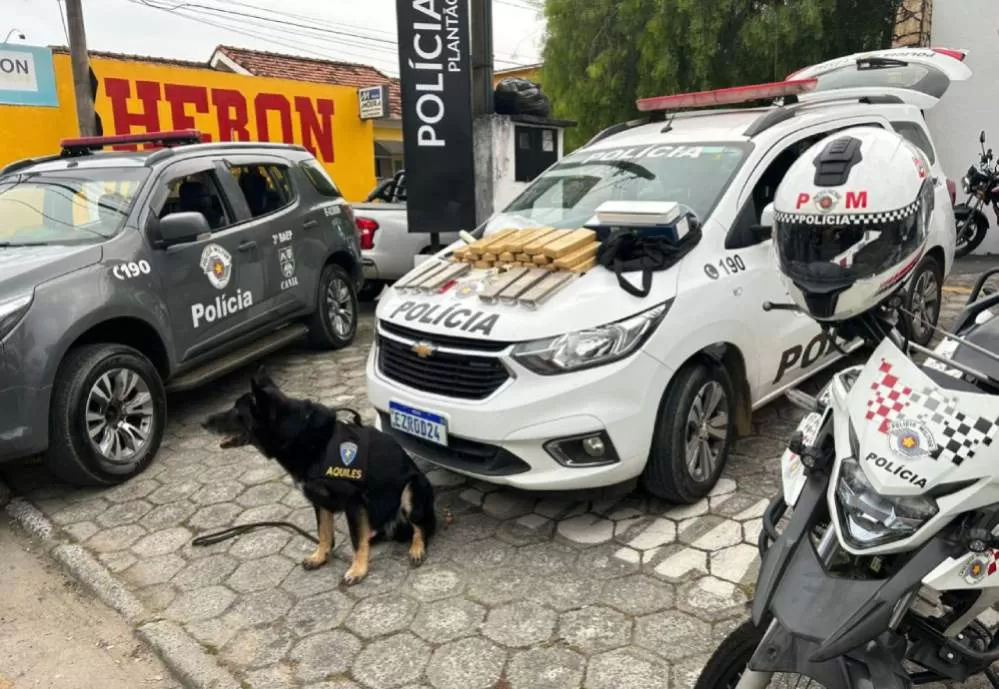 Polícia Militar apreende 26 tijolos de maconha e prende suspeito no bairro Pingo de Ouro
