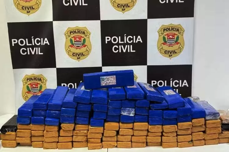 Polícia Civil estoura esconderijo e apreende 107 tijolos de maconha no Jardim Minas Gerais