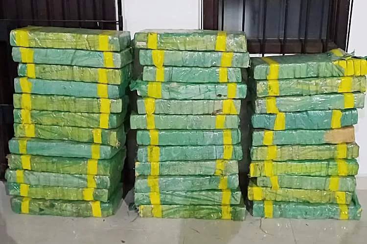 Homem é preso na Via Dutra quando trafegava com mais de 400 kg de maconha