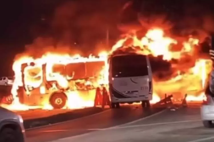 Grupo de manifestantes ateia fogo em dois ônibus na Rodovia Geraldo Scavone