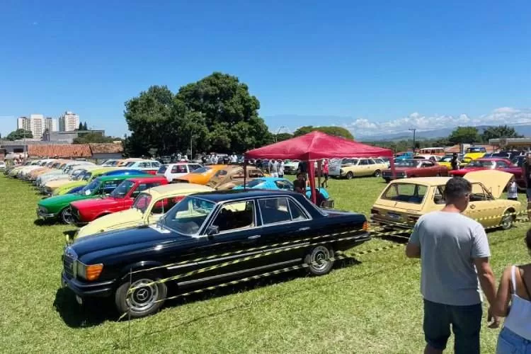 Festival Roberto Lee reúne preciosidades do automobilismo nacional em Caçapava 