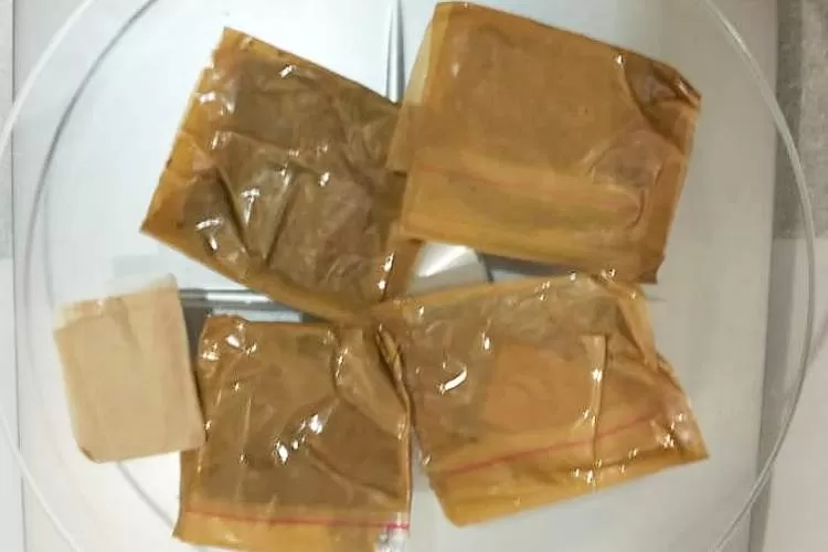 Mulher é barrada no domingo ao tentar entrar no P1 com droga na calcinha