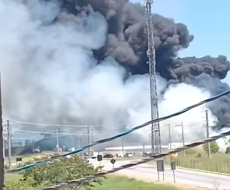 Incêndio destrói material reciclável neste domingo na região do bairro Araretama