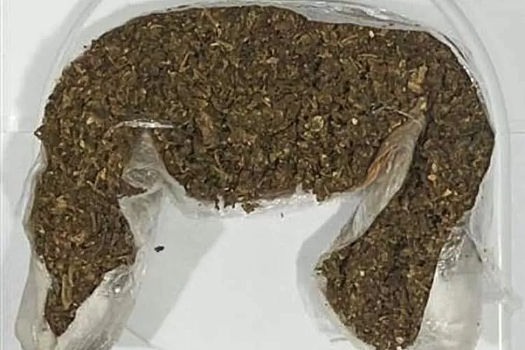 Visitantes com droga e dinheiro são barradas no horário de visitas em presídios da região