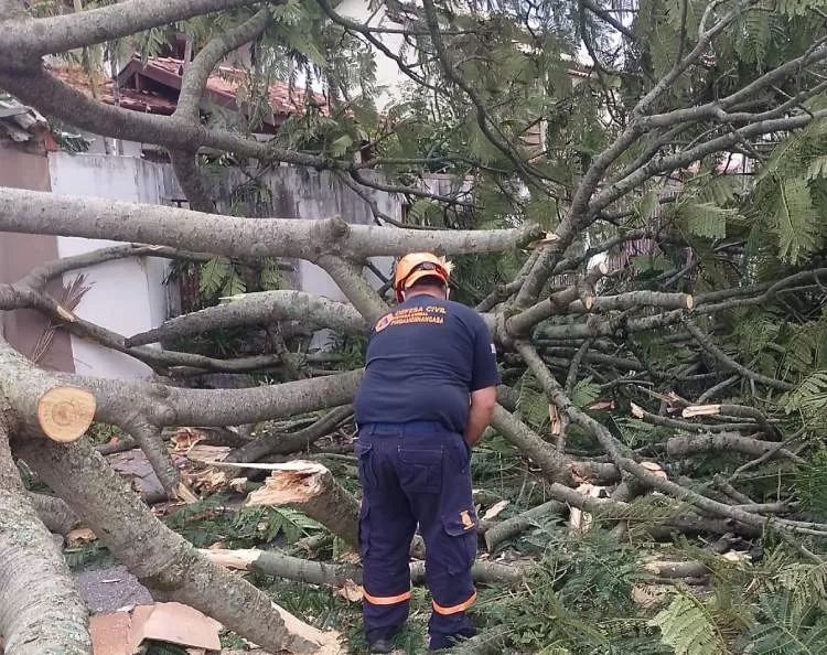 Temporais fazem estragos e mobilizam a Defesa Civil na maioria das cidades do Vale do Paraíba