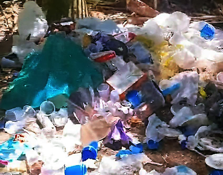 Parque da Cidade registra atos de vandalismo e falta de consciência ambiental 
