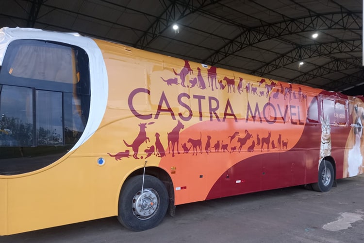 Tremembé recebe serviço de castração gratuita para pets a partir deste final de semana