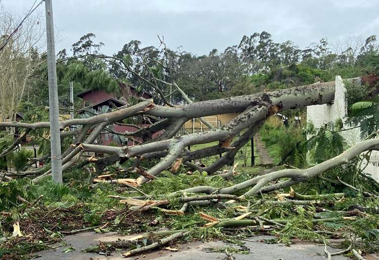 Previsão de tempestades e ventos fortes neste final de semana deixa população em estado de alerta